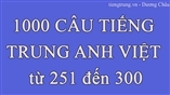 1000 CÂU TIẾNG TRUNG ANH VIỆT 251 đến 300 