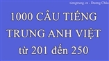 1000 CÂU KHẨU NGỮ ANH HOA VIỆT - (201 đến 250 ) 
