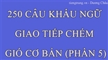 250 CÂU KHẨU NGỮ GIAO TIẾP CHÉM GIÓ CƠ BẢN (PHẦN 5)