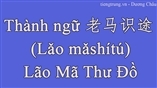 Thành ngữ 老马识途 (Lǎo mǎshítú) – Lão Mã Thư Đồ bằng tiếng trung